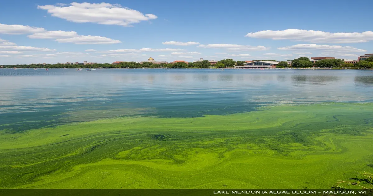 Madison Wisconsin skyline between Lake Mendota and Lake Monona