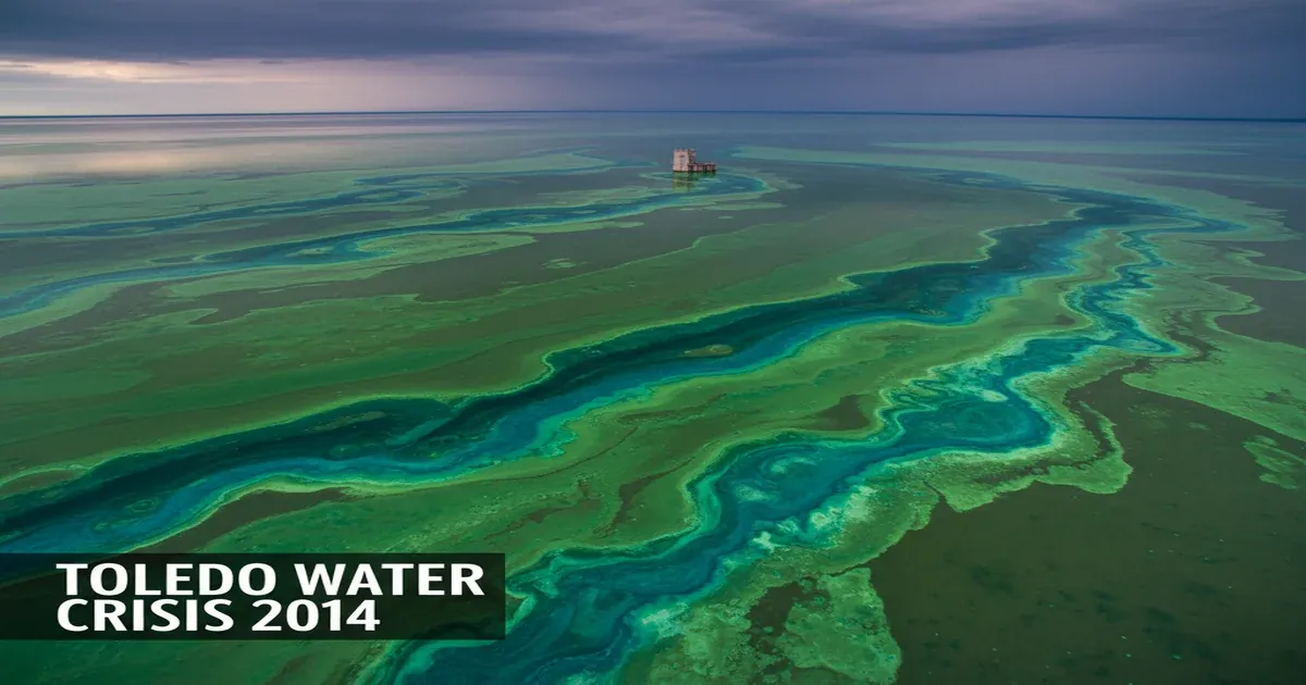 Lake Erie harmful algal bloom near Toledo Ohio water intake